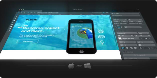 ظاهر در طراحی سایت